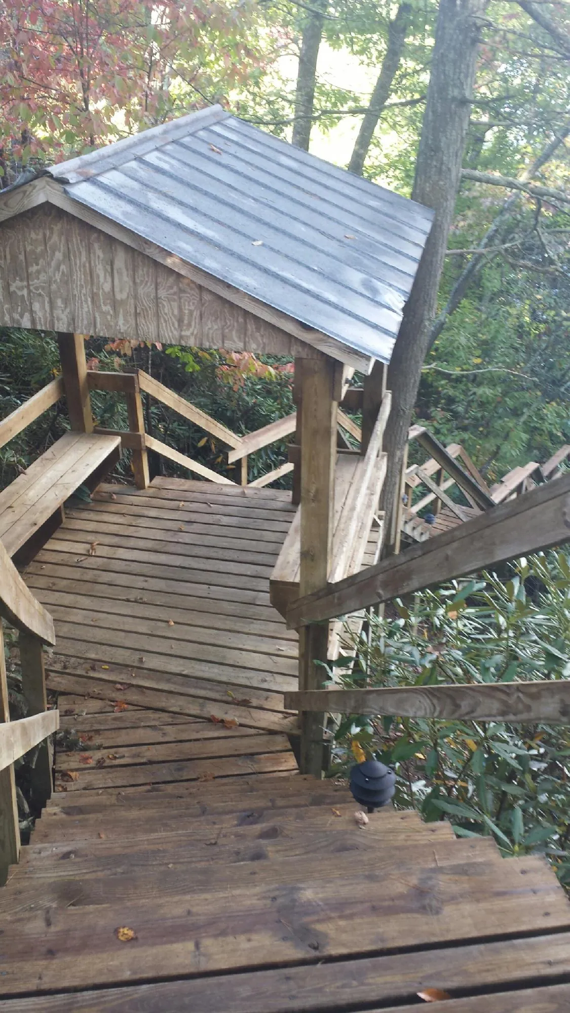 Metal roofed shelter over wooden steps on a wooded walkway — Skylight Repair & Installation work by our crew in Lake Butler
