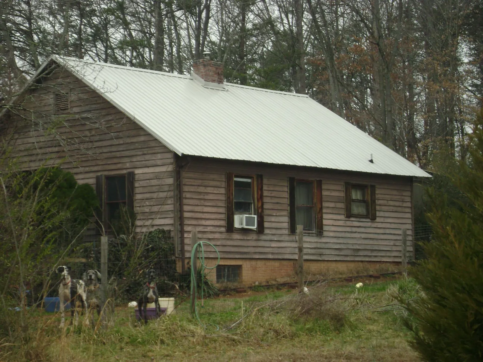 White metal roof on an old wood sided farmhouse, from a Asphalt Shingle Roof Repair job in Lake Butler
